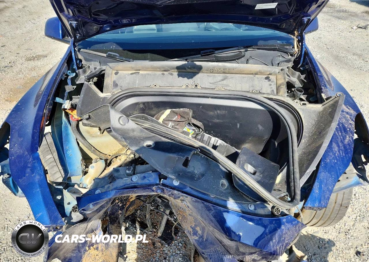 2024 Tesla Model Y VIN:7SAYGDEEXRF070164 - 12
