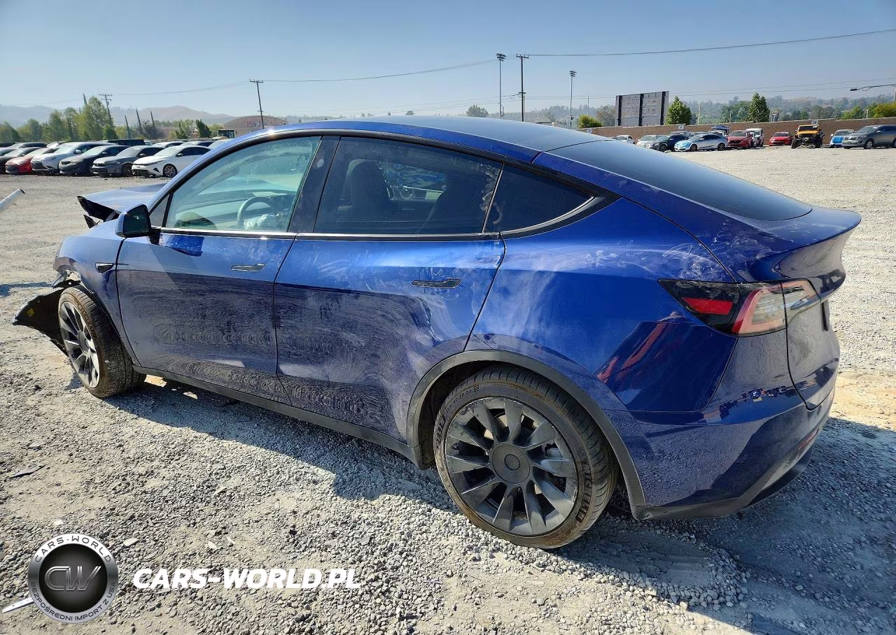 2024 Tesla Model Y VIN:7SAYGDEEXRF070164 - 2