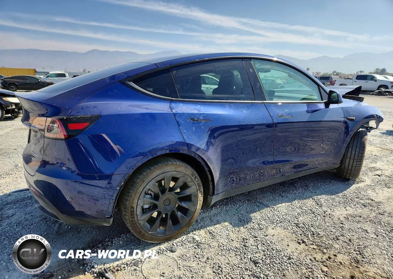 2024 Tesla Model Y VIN:7SAYGDEEXRF070164 - 3