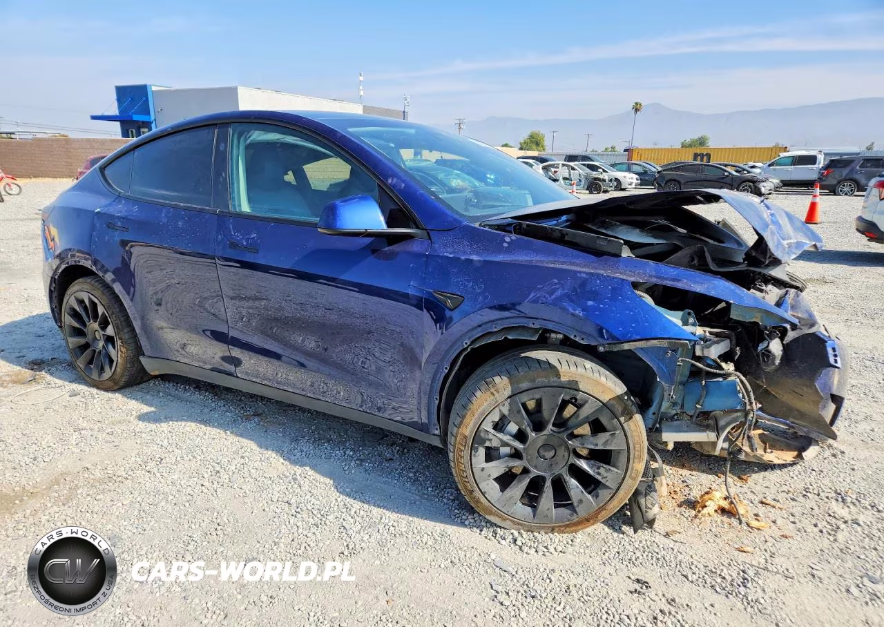 2024 Tesla Model Y VIN:7SAYGDEEXRF070164 - 4