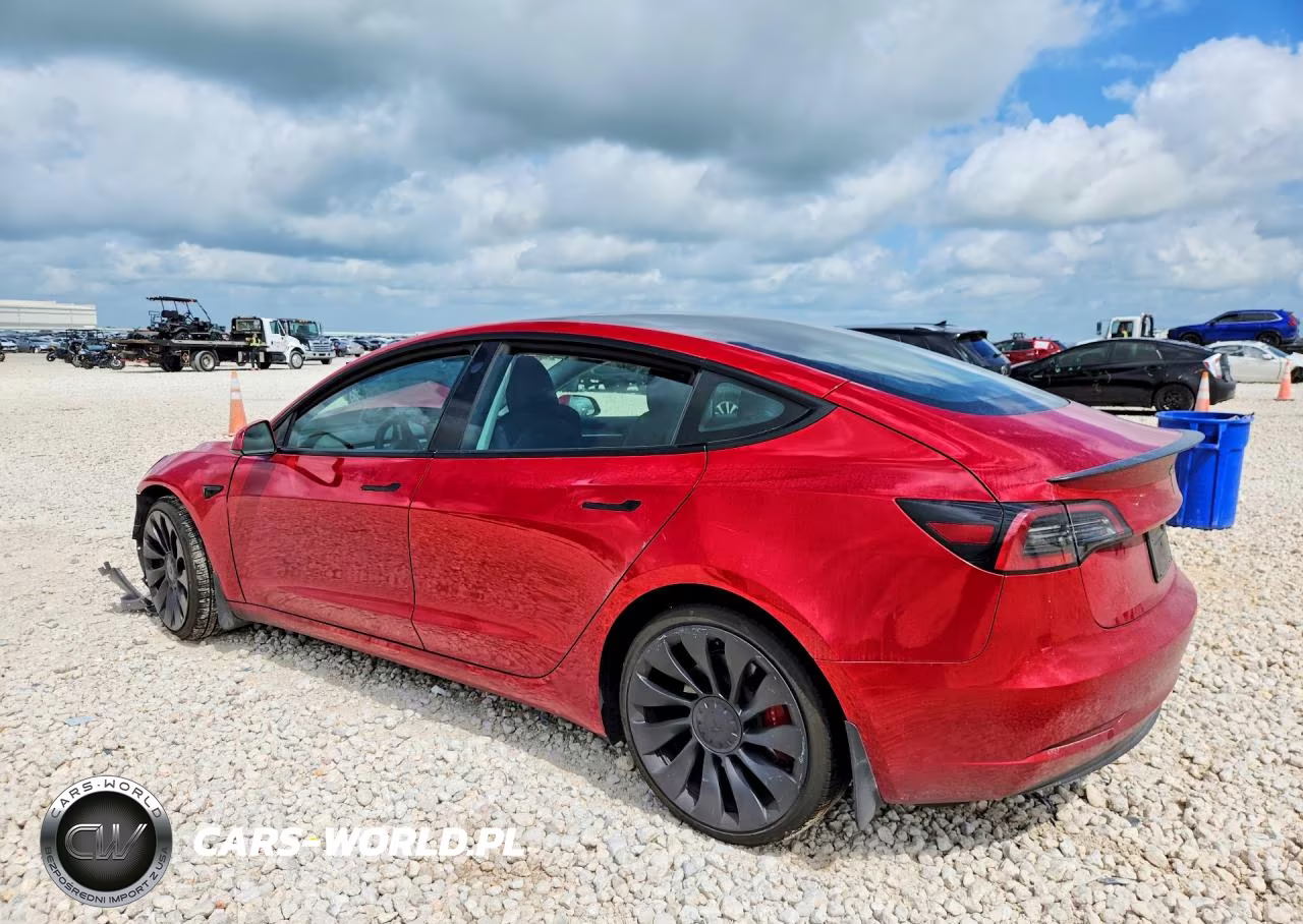 2023 Tesla Mod VIN:5YJ3E1EC7PF595030 - 2