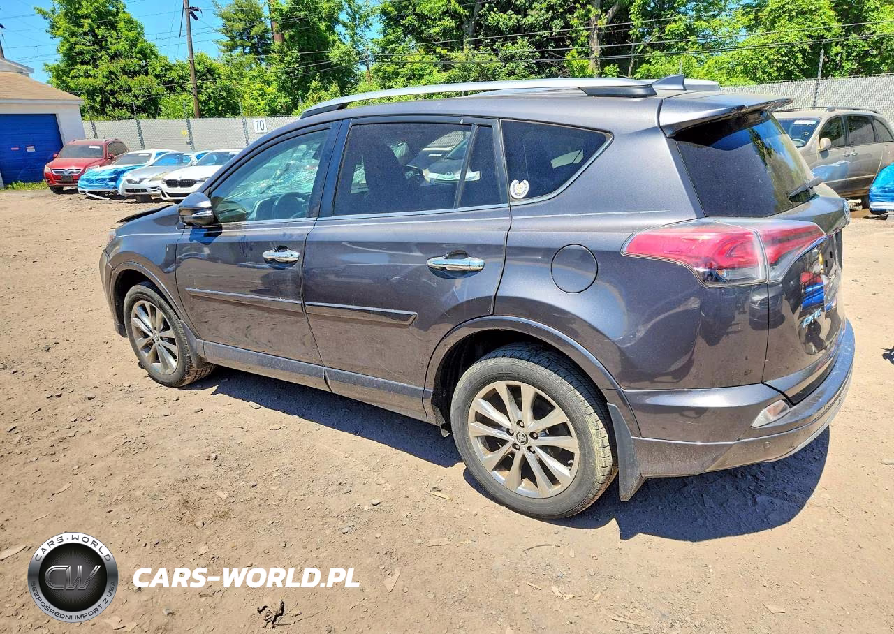 2017 Toyota Rav4 Platinum VIN:2T3DFREV2HW542989 - 2