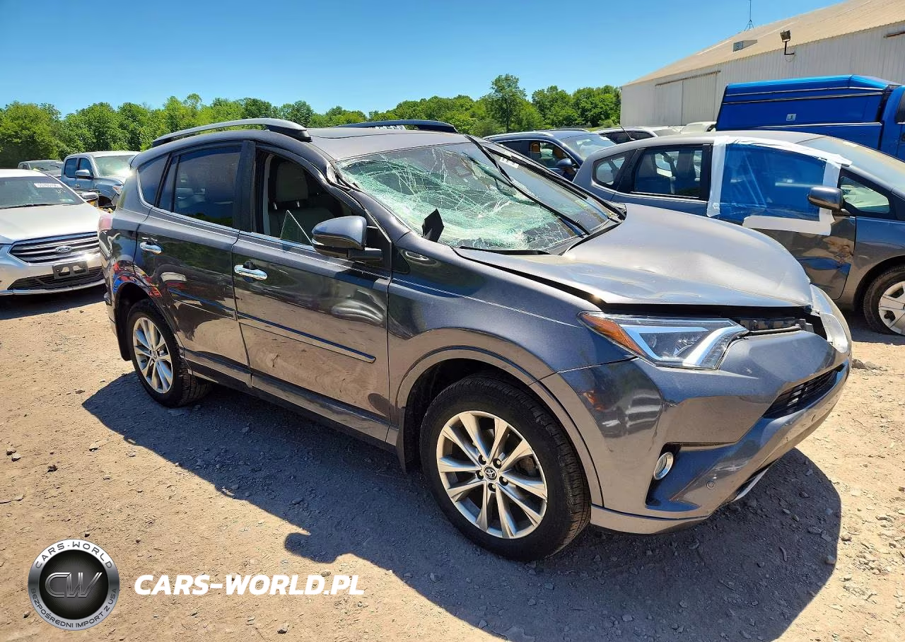 2017 Toyota Rav4 Platinum VIN:2T3DFREV2HW542989 - 4