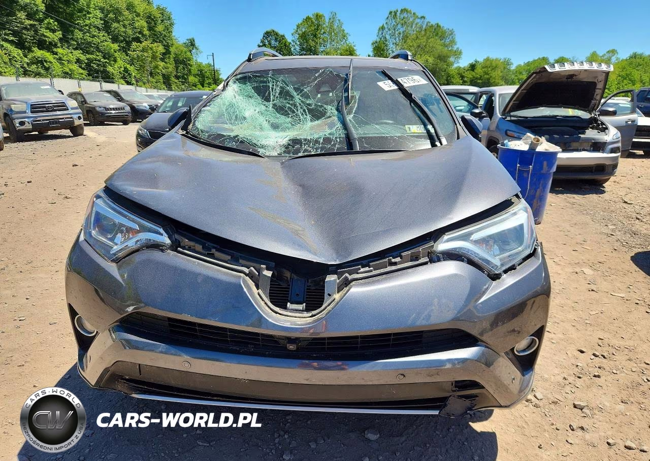 2017 Toyota Rav4 Platinum VIN:2T3DFREV2HW542989 - 5