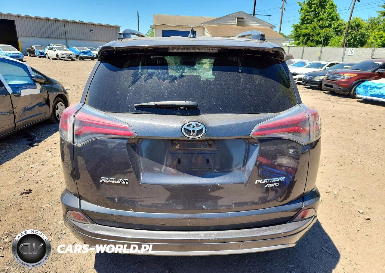 2017 Toyota Rav4 Platinum VIN:2T3DFREV2HW542989 - 6