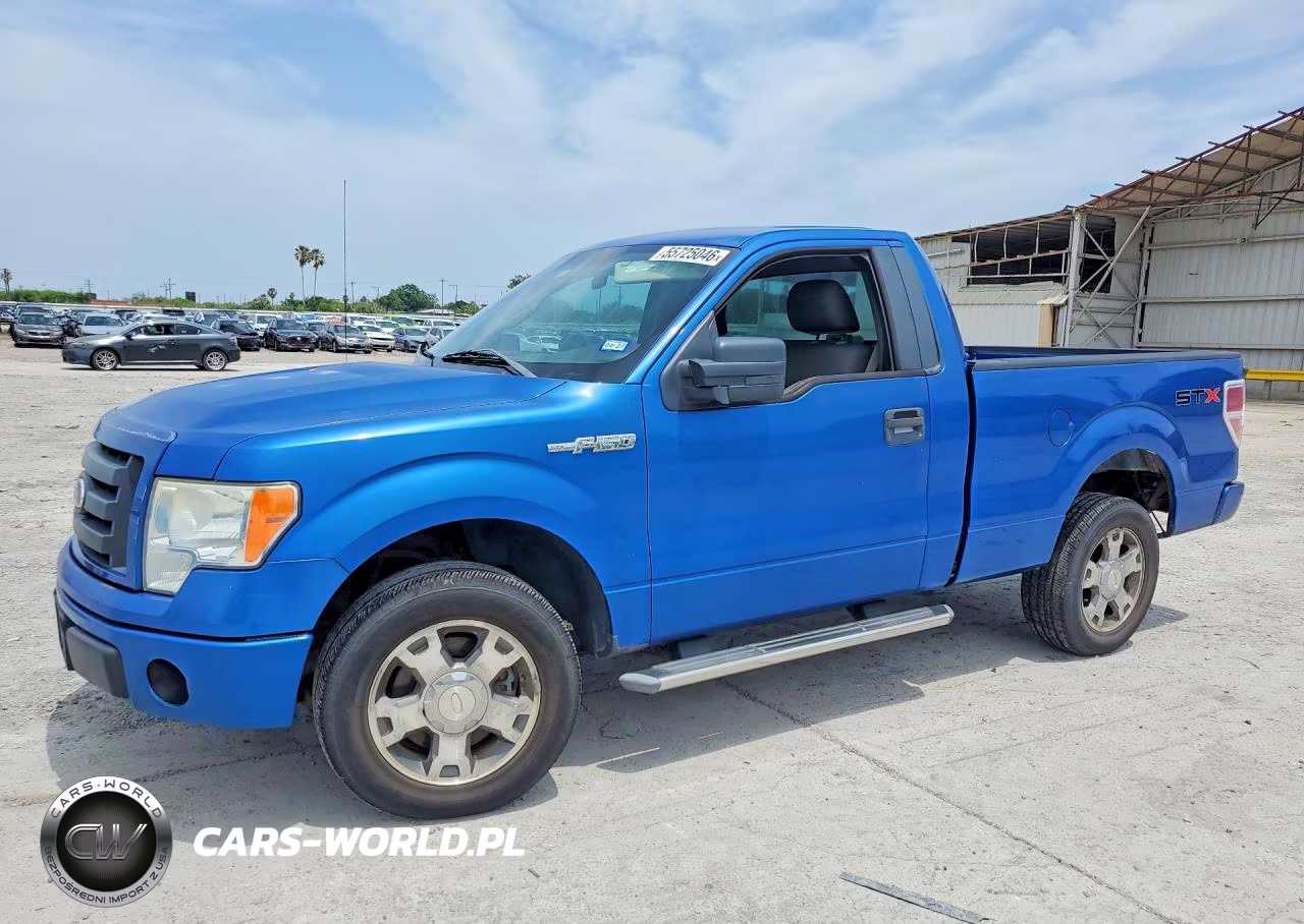 2010 Ford F-150