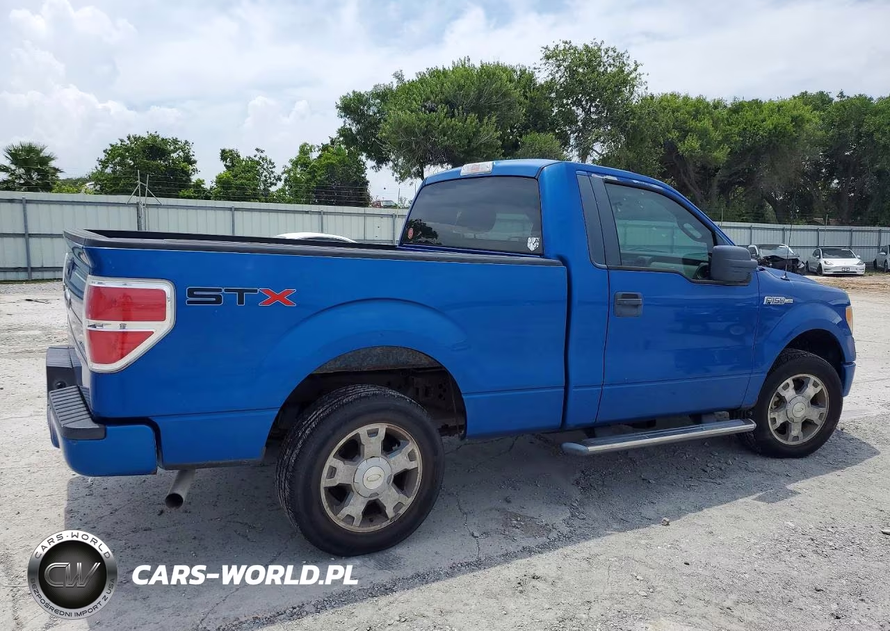 2010 Ford F-150 VIN:1FTMF1CW3AKB57310 - 3