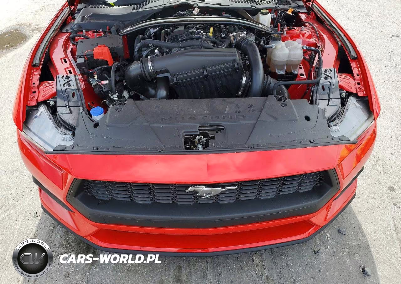 2025 Ford Mustang VIN:1FAGP8UH7S5111360 - 11