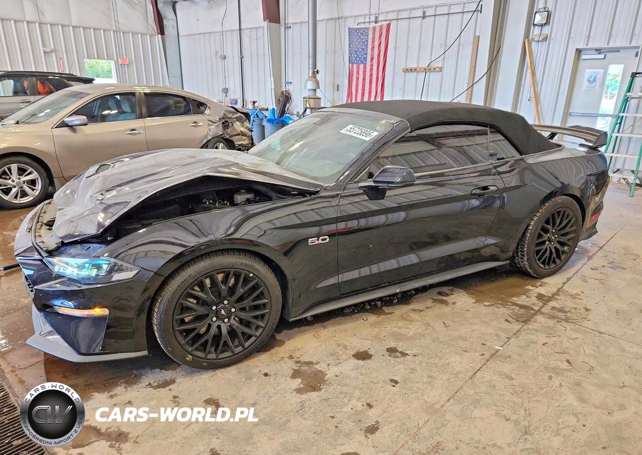 2019 Ford Mustang Gt – zdjęcie 1 z 12