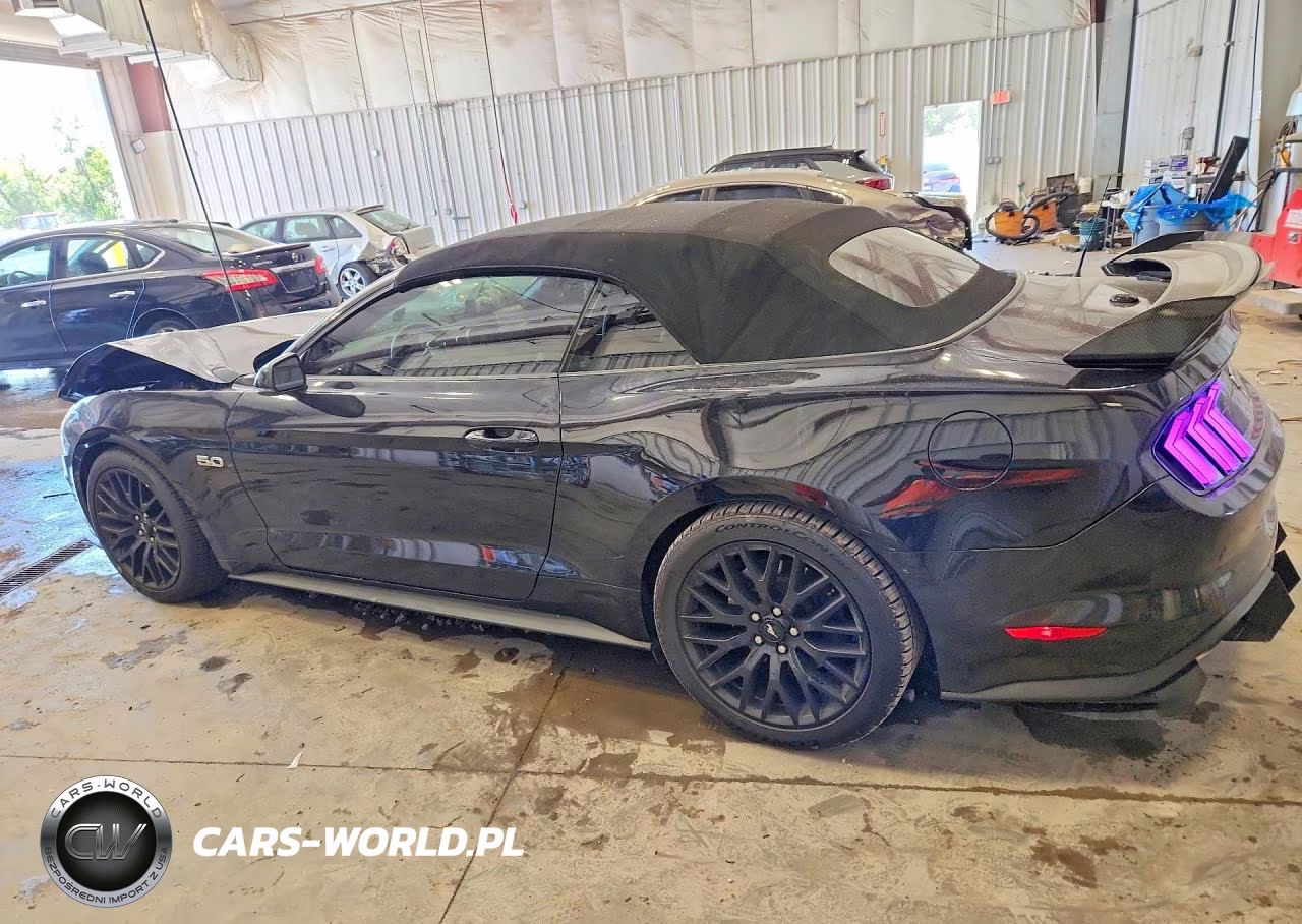 2019 Ford Mustang Gt VIN:1FATP8FFXK5185592 - 2