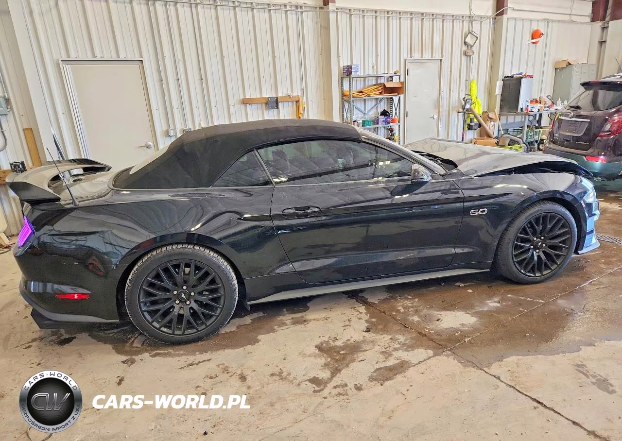 2019 Ford Mustang Gt VIN:1FATP8FFXK5185592 - 3