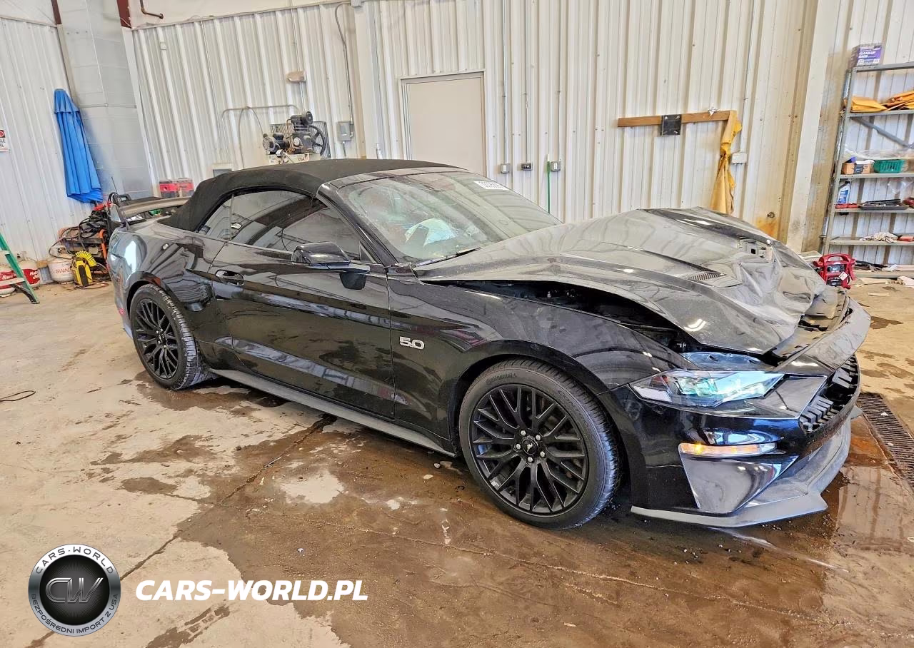 2019 Ford Mustang Gt VIN:1FATP8FFXK5185592 - 4