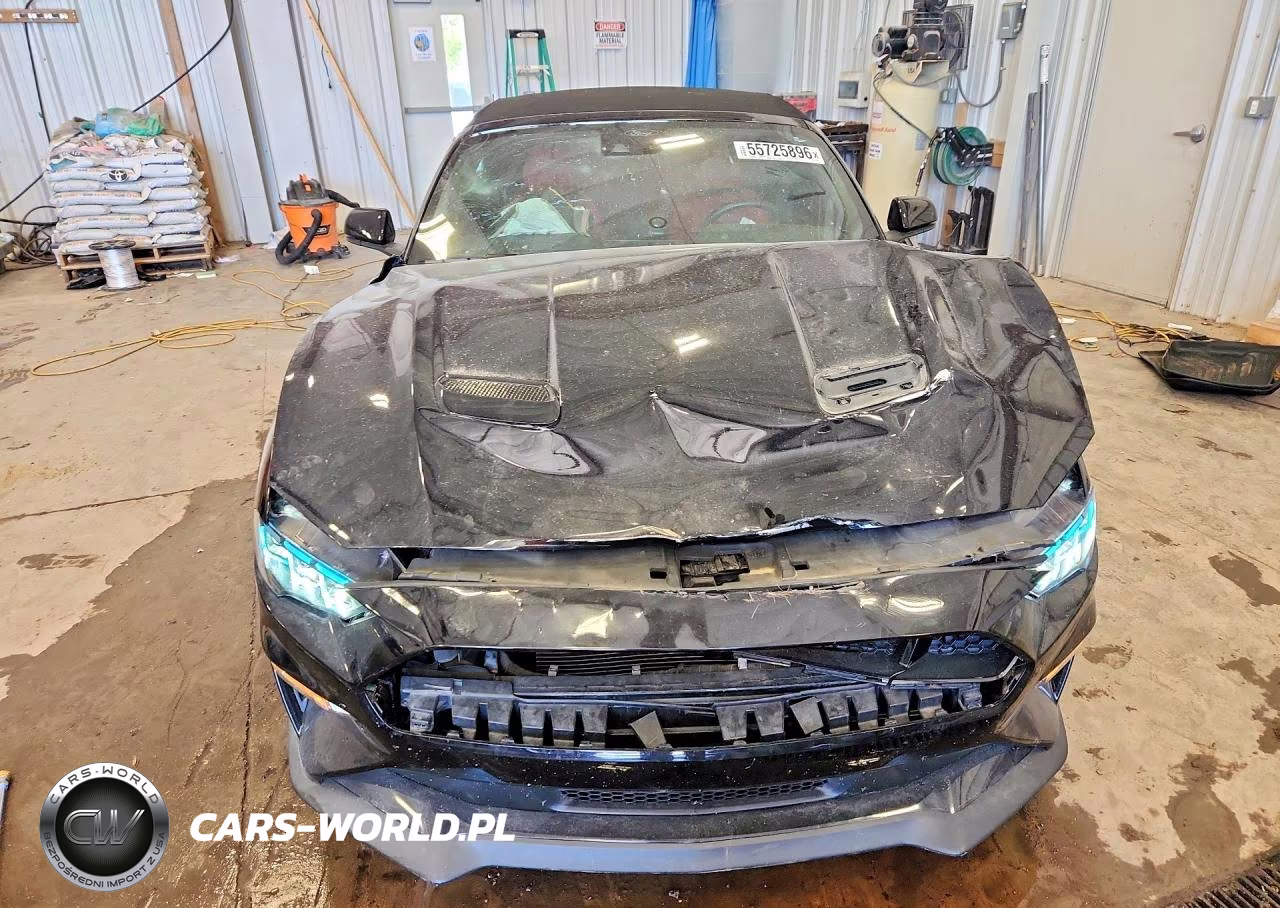 2019 Ford Mustang Gt VIN:1FATP8FFXK5185592 - 5