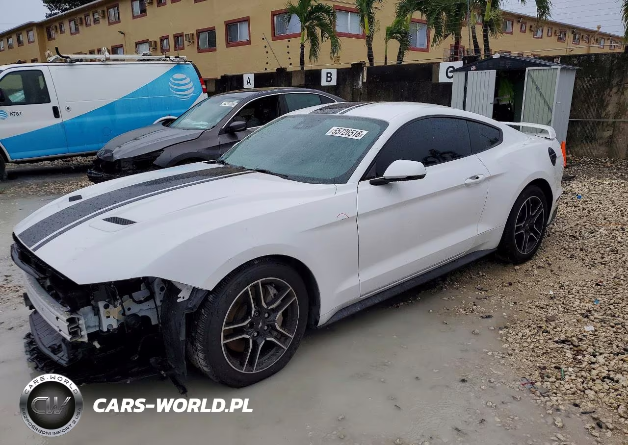 2019 Ford Mustang – zdjęcie 1 z 13