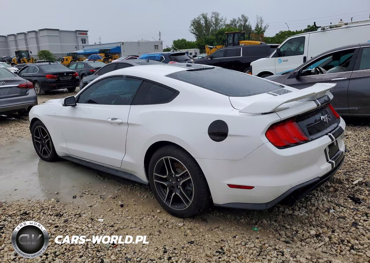 2019 Ford Mustang VIN:1FA6P8TH9K5157334 - 2