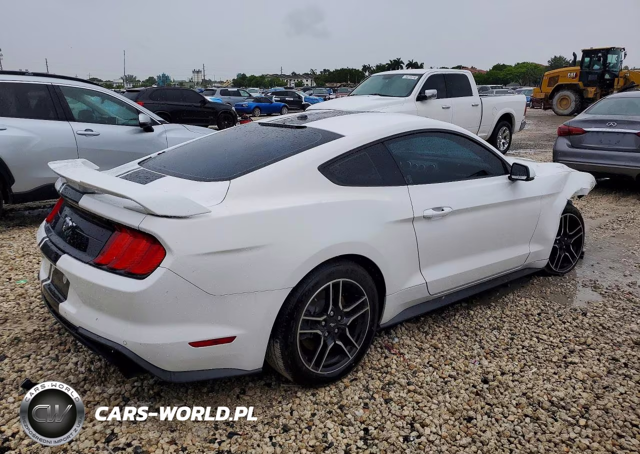 2019 Ford Mustang VIN:1FA6P8TH9K5157334 - 3