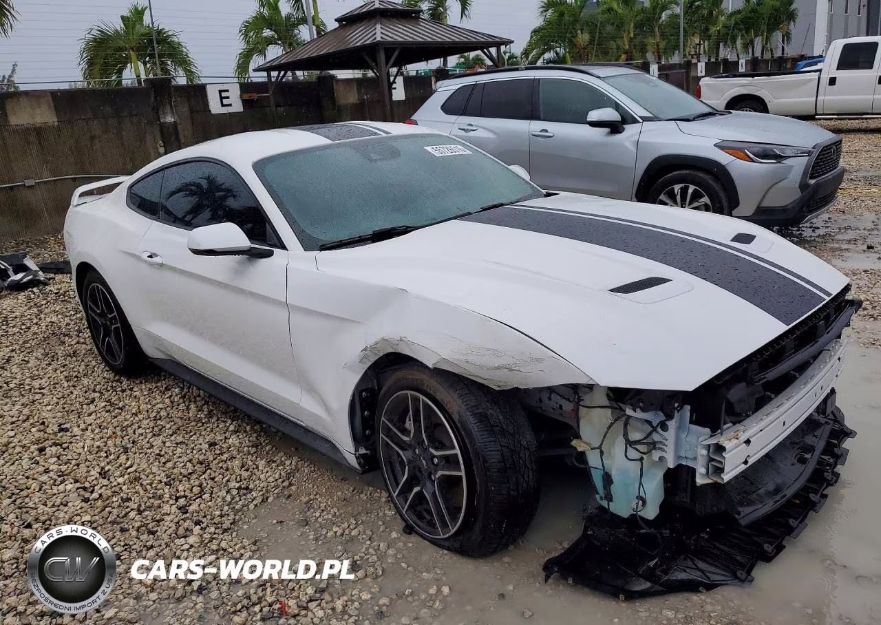 2019 Ford Mustang VIN:1FA6P8TH9K5157334 - 4