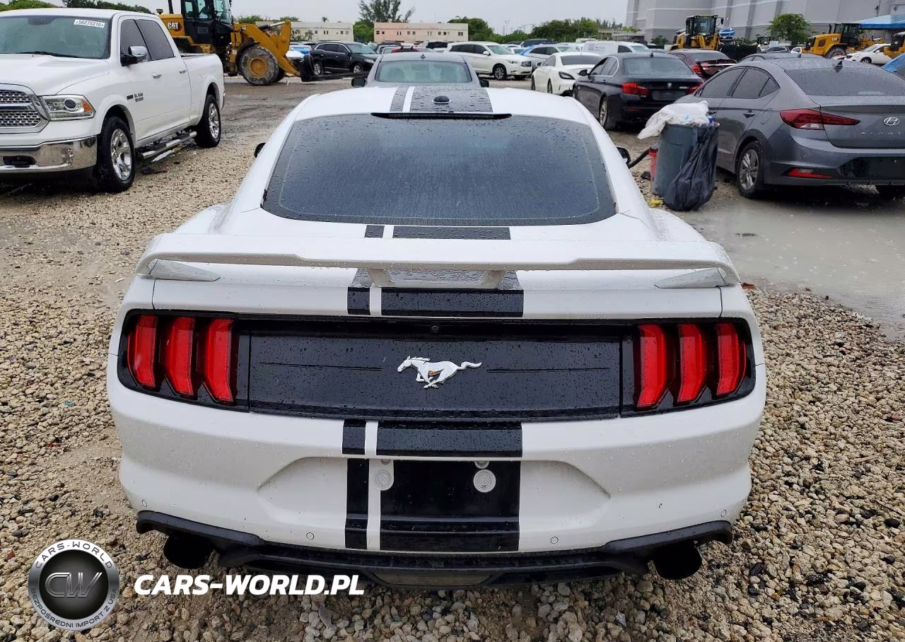 2019 Ford Mustang VIN:1FA6P8TH9K5157334 - 6