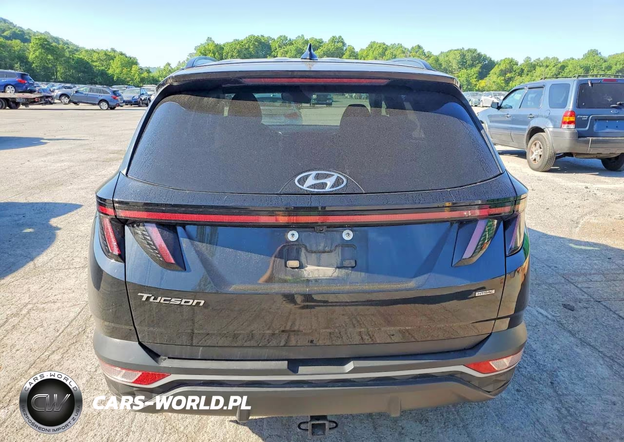 2023 Hyundai Tucson Sel VIN:5NMJBCAE4PH191930 - 6