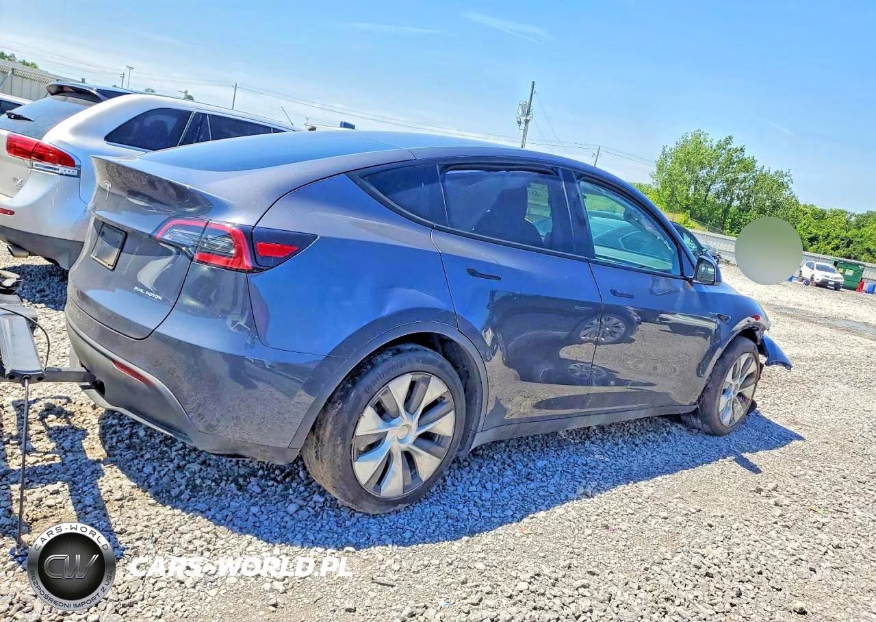 2023 Tesla Model Y VIN:7SAYGDEE1PA136725 - 3