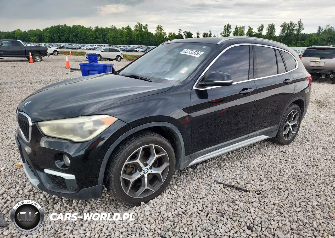 2017 BMW X1 xDrive28I – zdjęcie 1 z 13