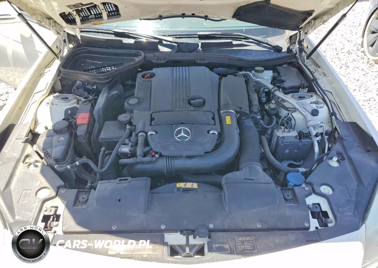 2013 Mercedes-Benz Slk 250 VIN:WDDPK4HA6DF059978 - 11