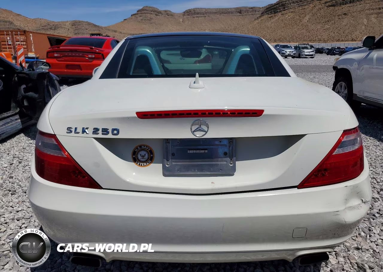 2013 Mercedes-Benz Slk 250 VIN:WDDPK4HA6DF059978 - 6