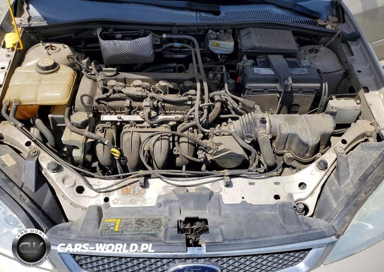 2006 Ford Focus Zx4 VIN:1FAHP34N06W244216 - 11