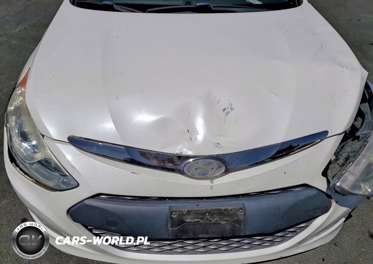 2013 Hyundai Sonata Hybrid VIN:KMHEC4A43DA064843 - 11
