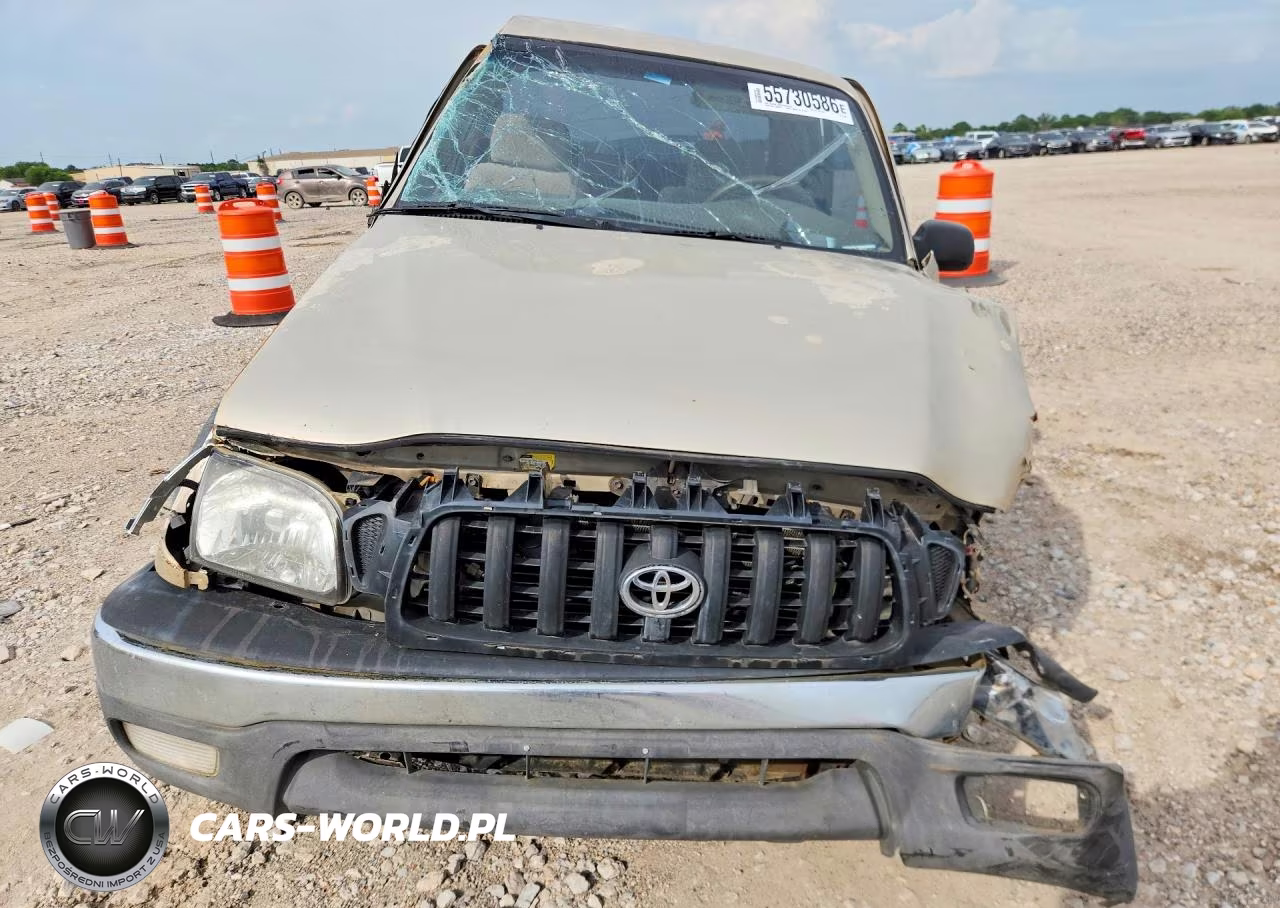 2001 Toyota Tacoma Xtracab Prerunner VIN:5TESN92N21Z758169 - 5