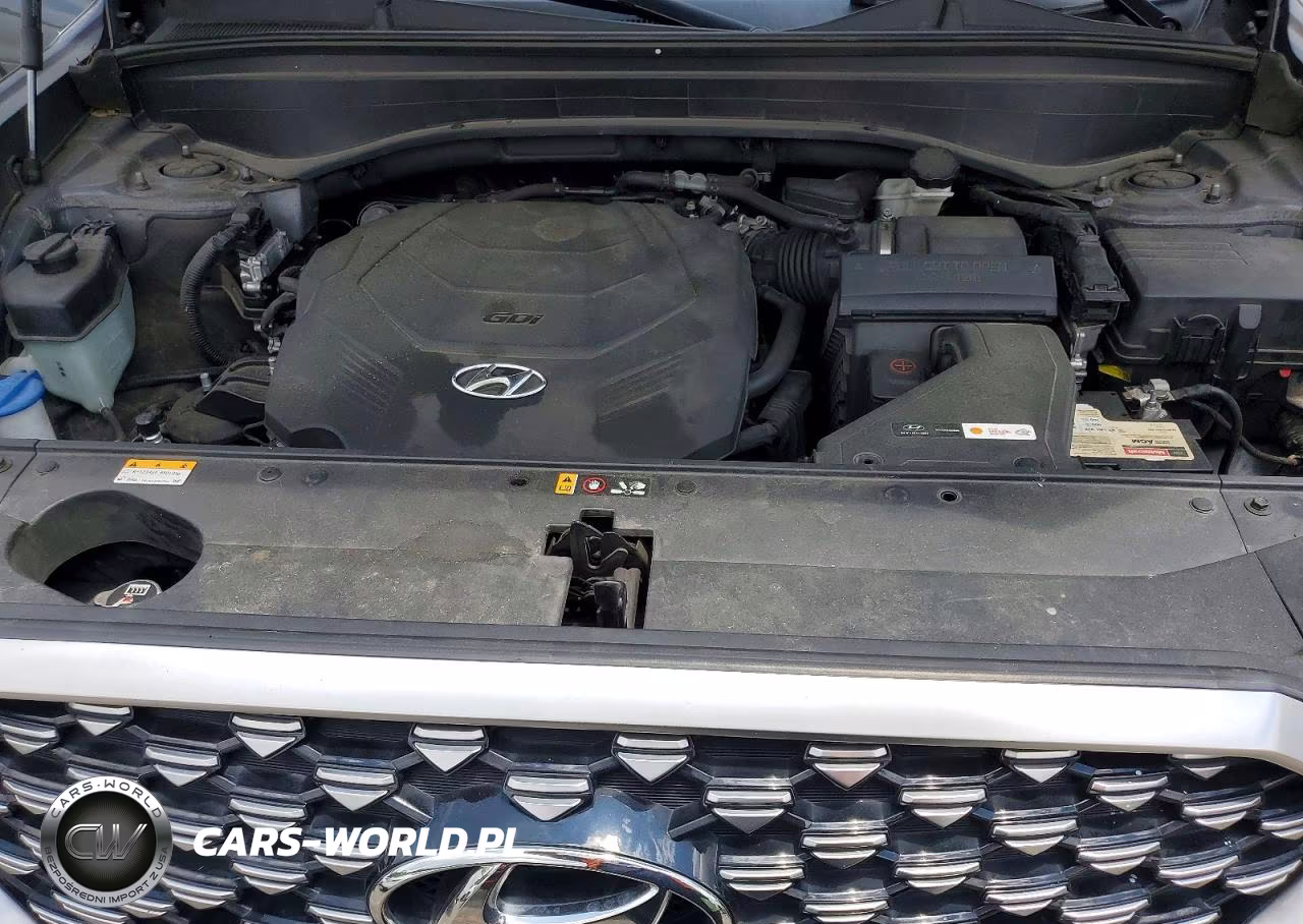 2022 Hyundai Palisade Calligraphy VIN:KM8R74HE0NU373805 - 12