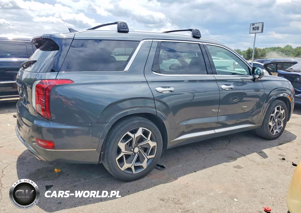 2022 Hyundai Palisade Calligraphy VIN:KM8R74HE0NU373805 - 3