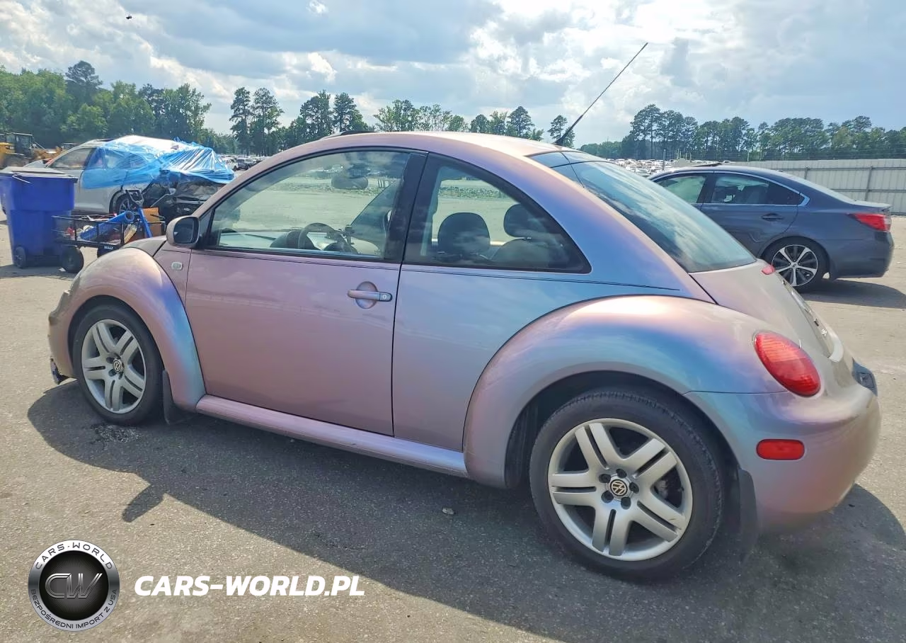 2003 Volkswagen New Beetle Glx VIN:3VWDD21C93M424608 - 2