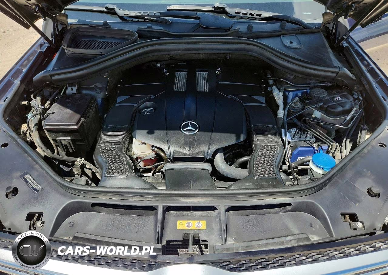 2017 Mercedes-Benz Gls 450 4Matic VIN:4JGDF6EEXHA829635 - 12