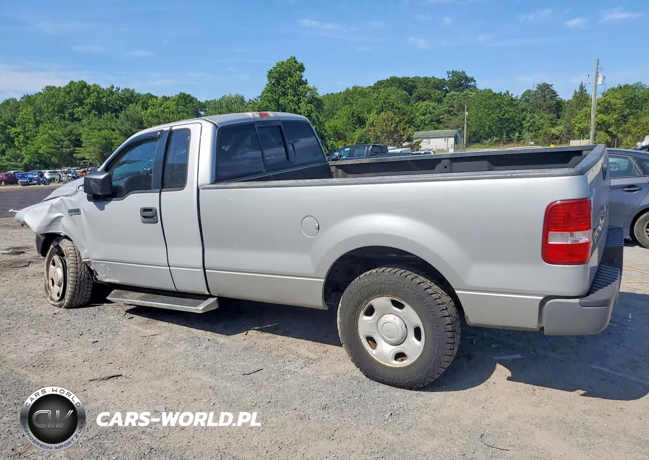 2006 Ford F150 VIN:1FTRF14W46NB49744 - 2
