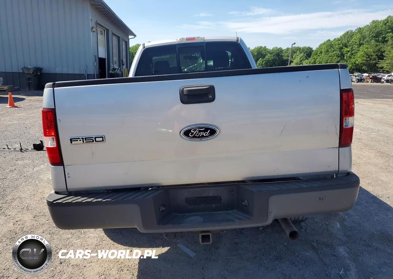 2006 Ford F150 VIN:1FTRF14W46NB49744 - 6