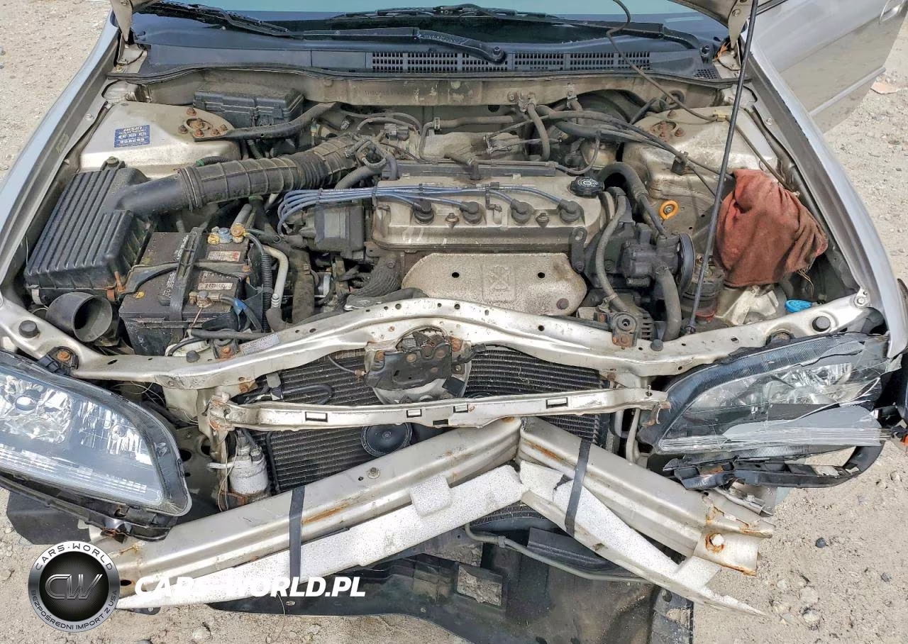 1998 Honda Accord Lx VIN:1HGCG5647WA161272 - 11