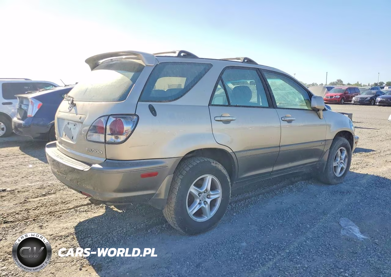 2003 Lexus Rx 300 VIN:JTJHF10U630313243 - 3