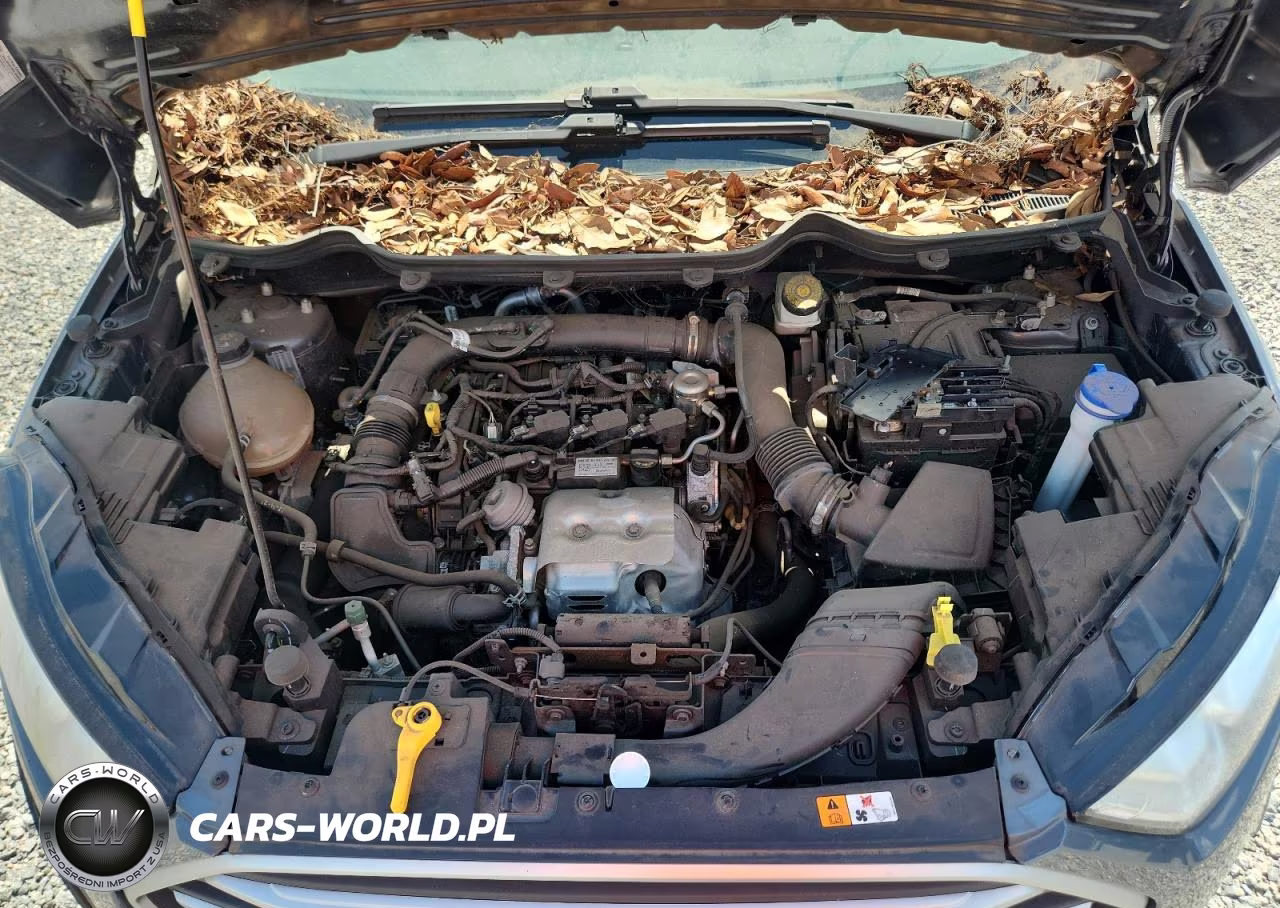 2021 Ford Ecosport Se VIN:MAJ3S2GEXMC426017 - 12