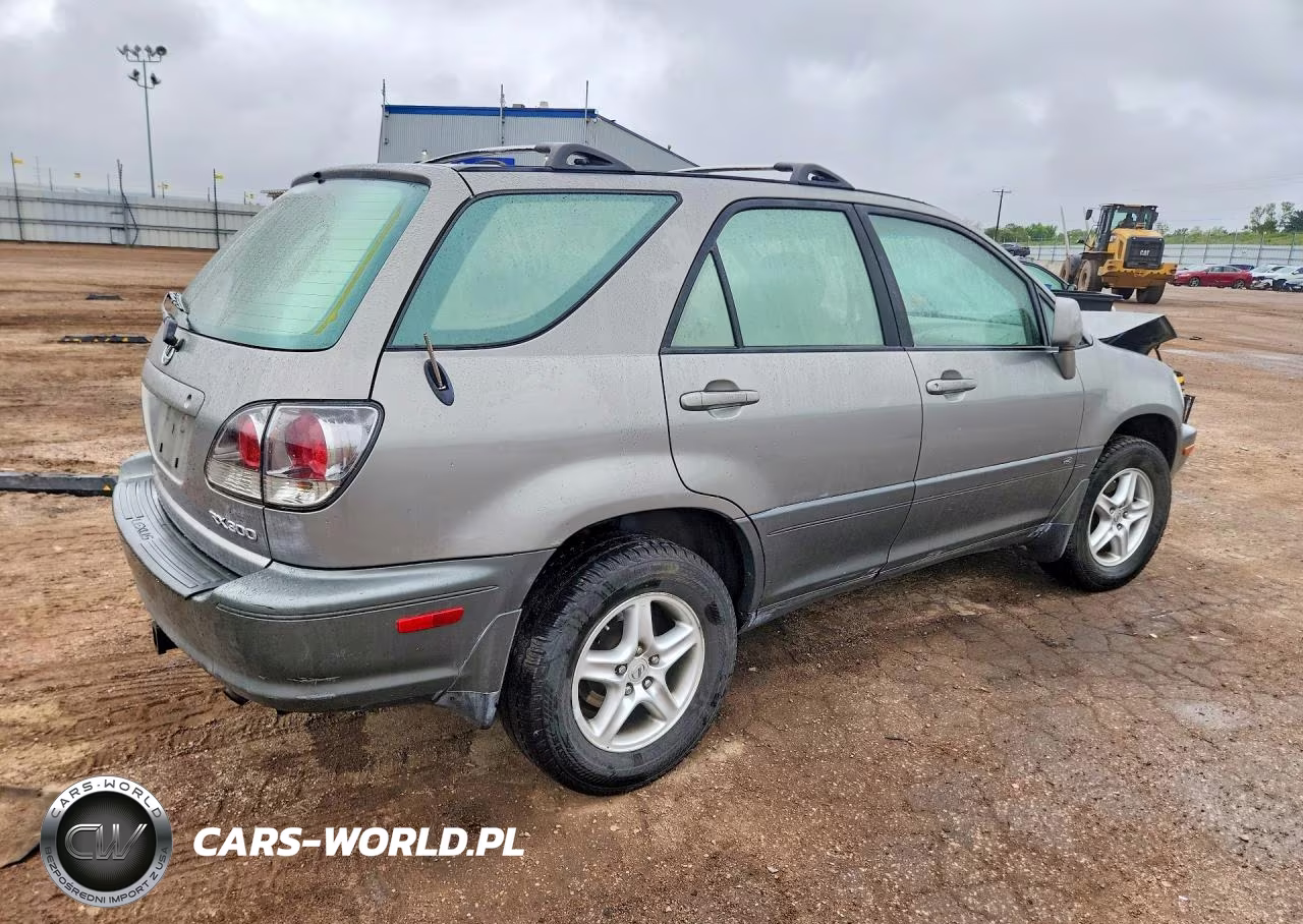 2001 Lexus Rx 300 VIN:JTJHF10U710217876 - 3