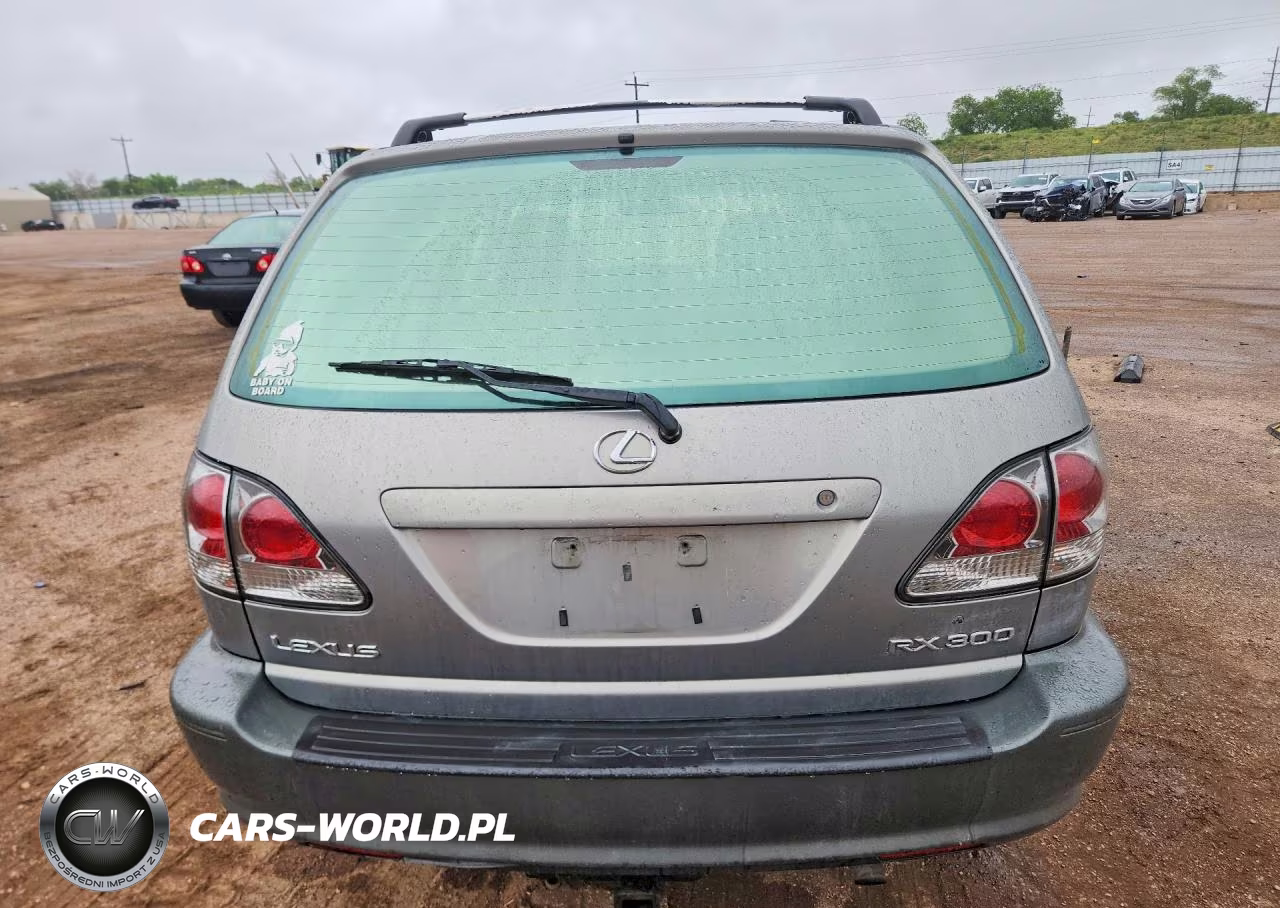 2001 Lexus Rx 300 VIN:JTJHF10U710217876 - 6