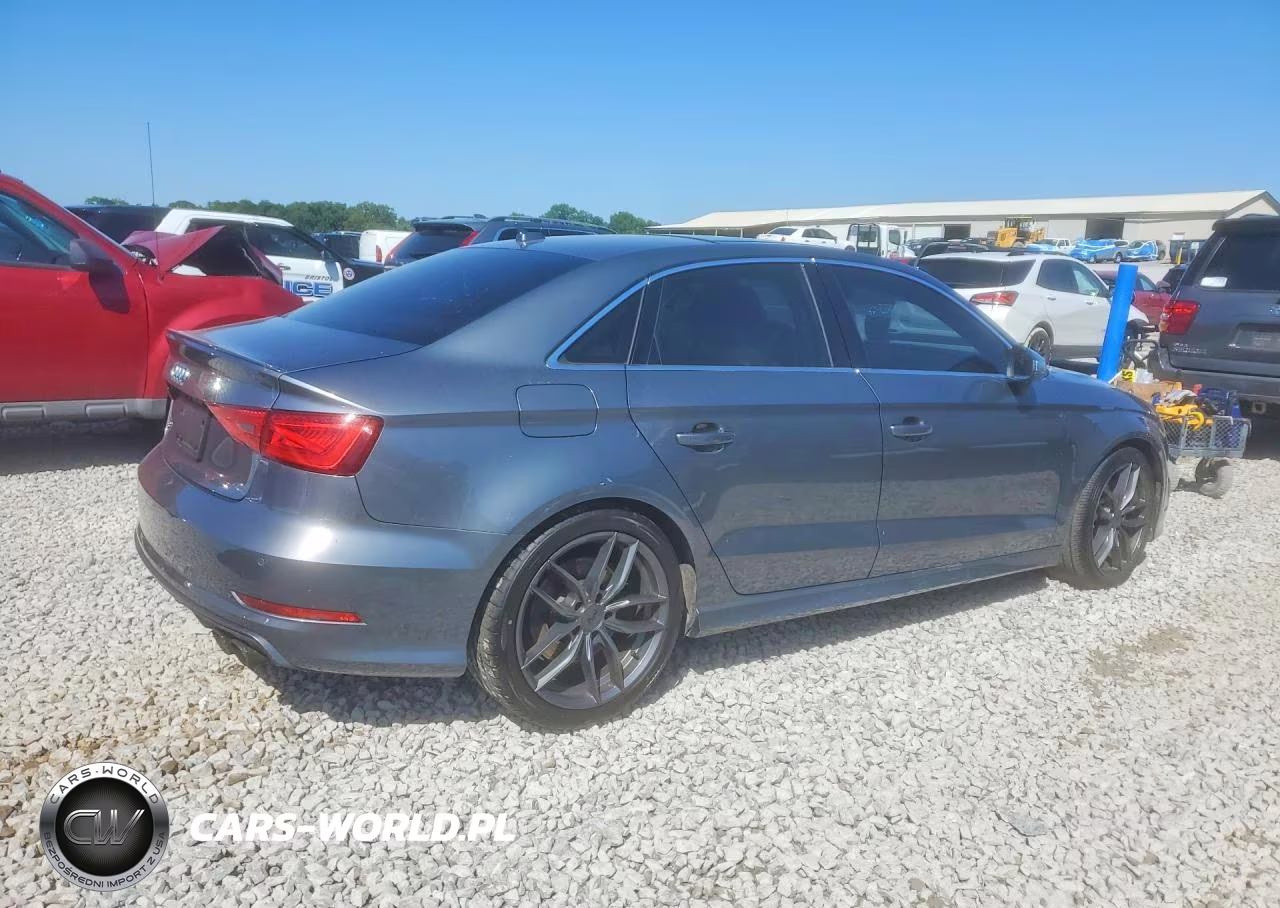 2016 Audi S3 Premium Plus VIN:WAUB1GFF1G1029499 - 3