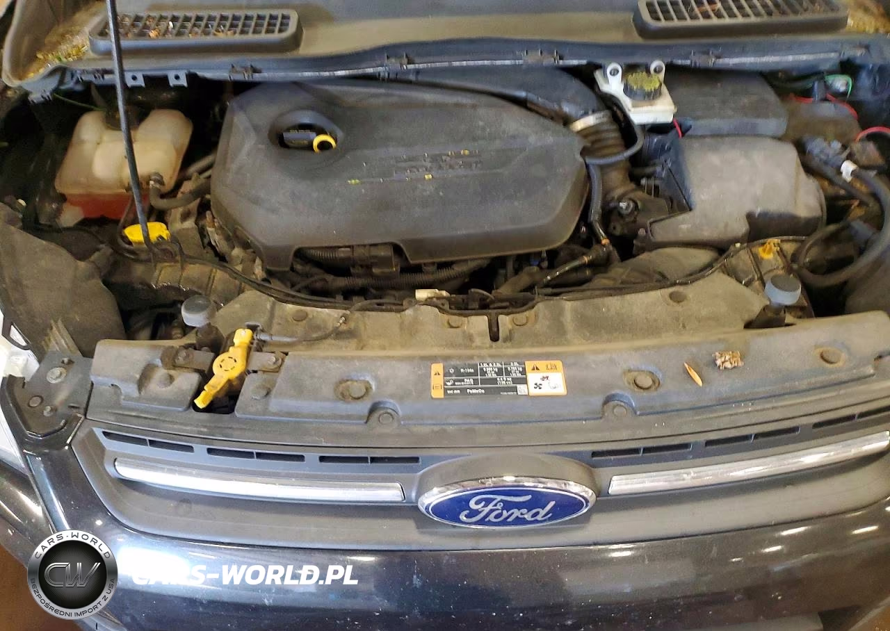 2014 Ford Escape Se VIN:1FMCU9GXXEUE02208 - 11