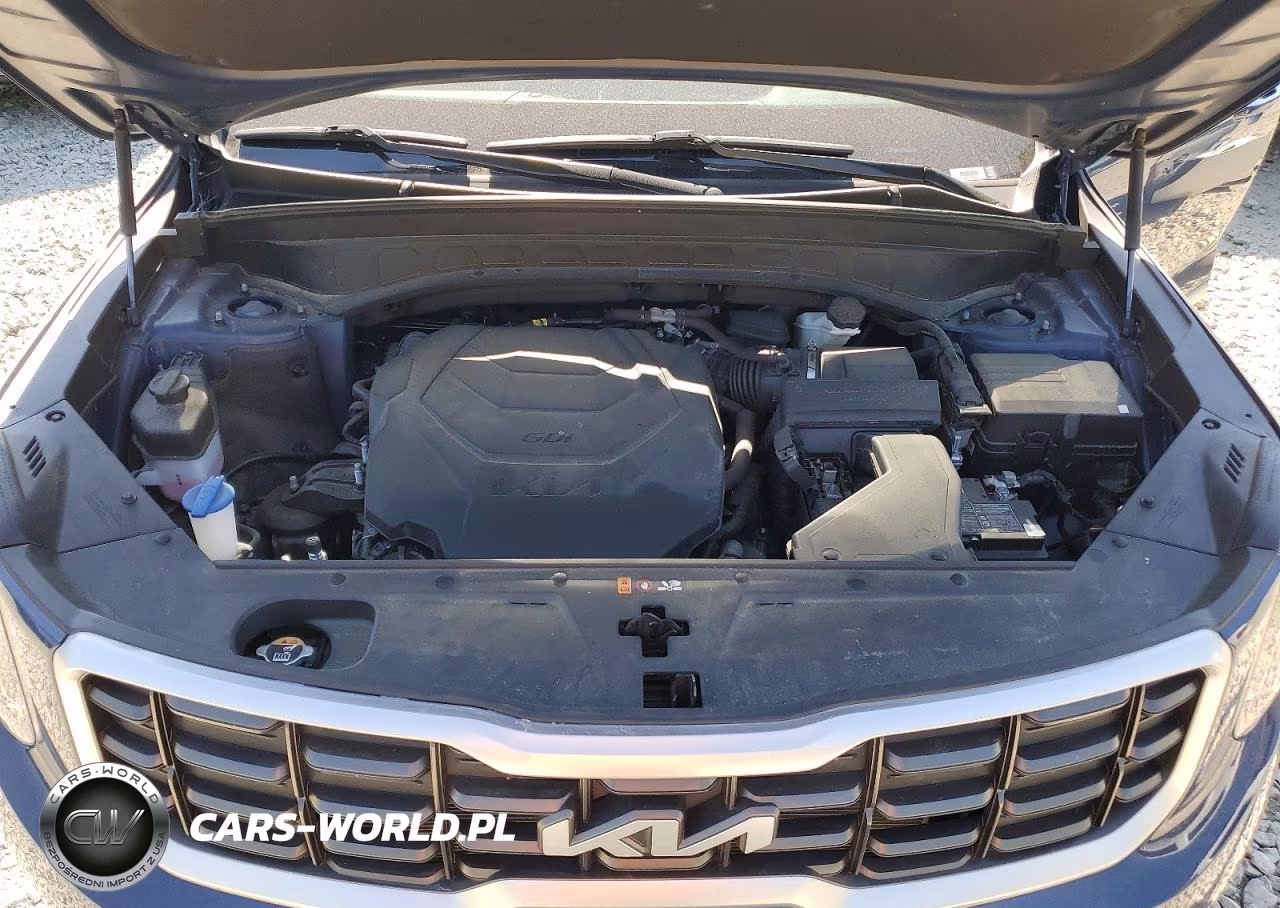 2023 Kia Telluride S VIN:5XYP6DGC9PG342670 - 12