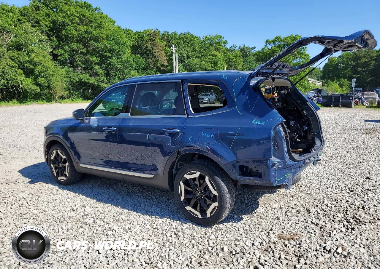 2023 Kia Telluride S VIN:5XYP6DGC9PG342670 - 2