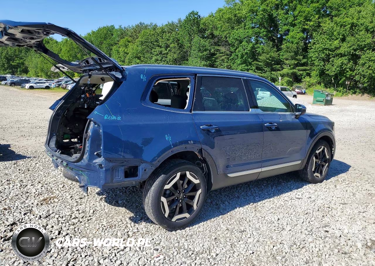 2023 Kia Telluride S VIN:5XYP6DGC9PG342670 - 3