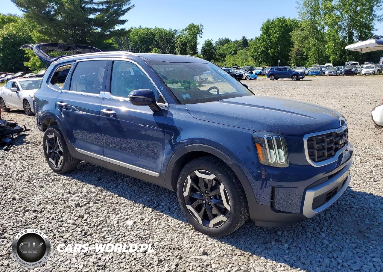 2023 Kia Telluride S VIN:5XYP6DGC9PG342670 - 4
