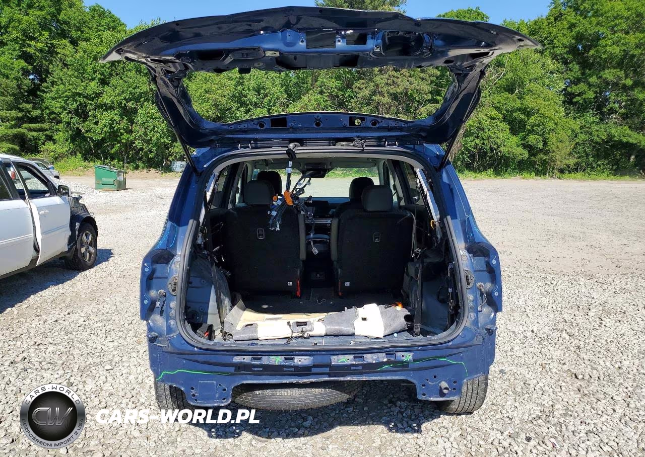 2023 Kia Telluride S VIN:5XYP6DGC9PG342670 - 6