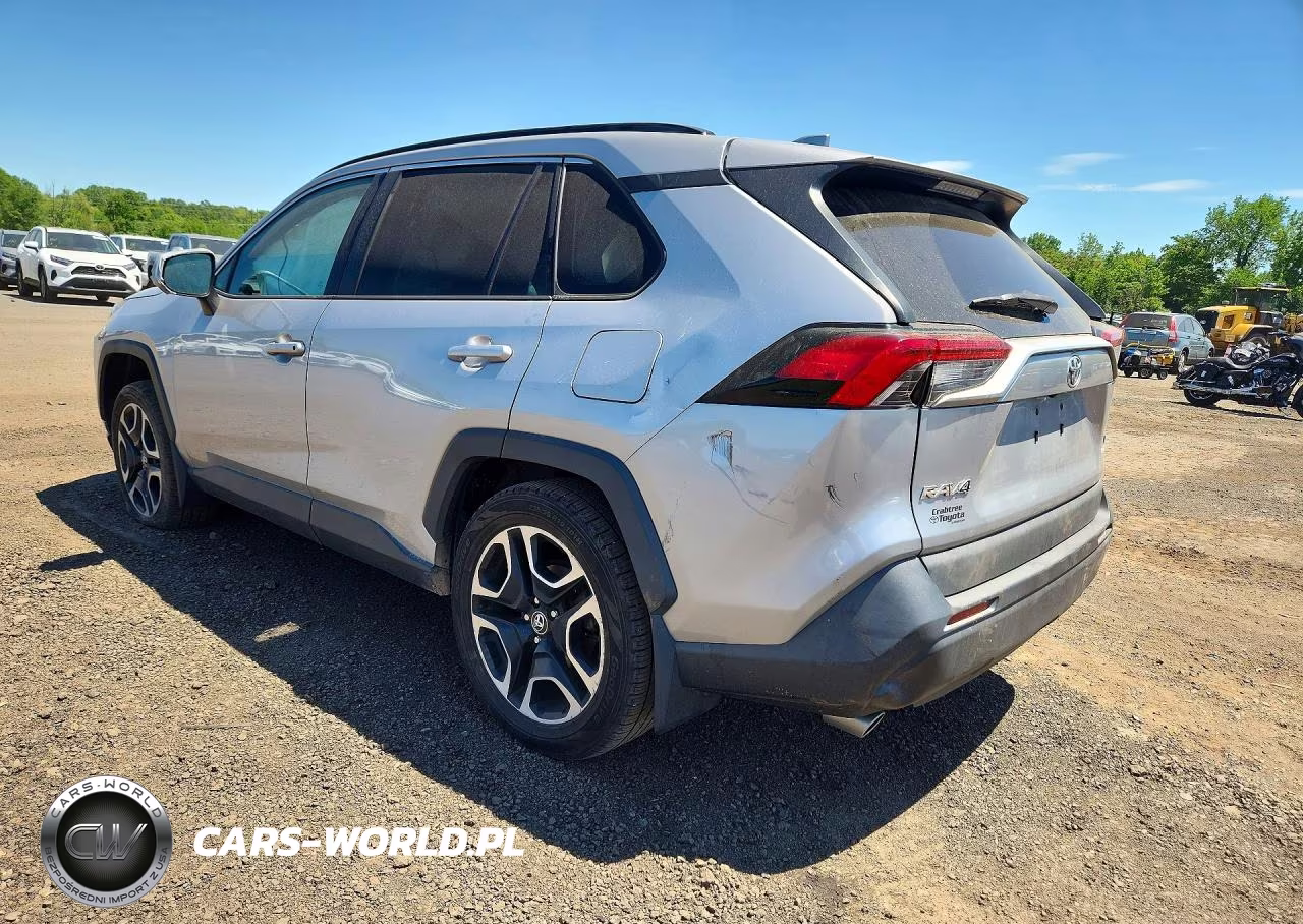 2019 Toyota Rav4 Le VIN:2T3F1RFV3KW063672 - 2