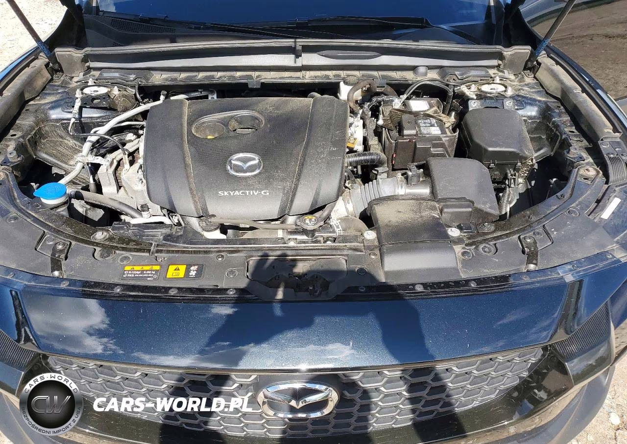 2024 Mazda Cx-50 Premium VIN:7MMVABDM7RN216570 - 12
